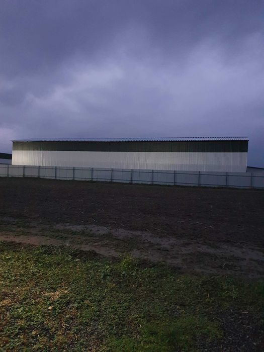 1,3 Га. Мукачево. Рівний. Траса. Є Світло, Вода Теплиці. Під любі цілі