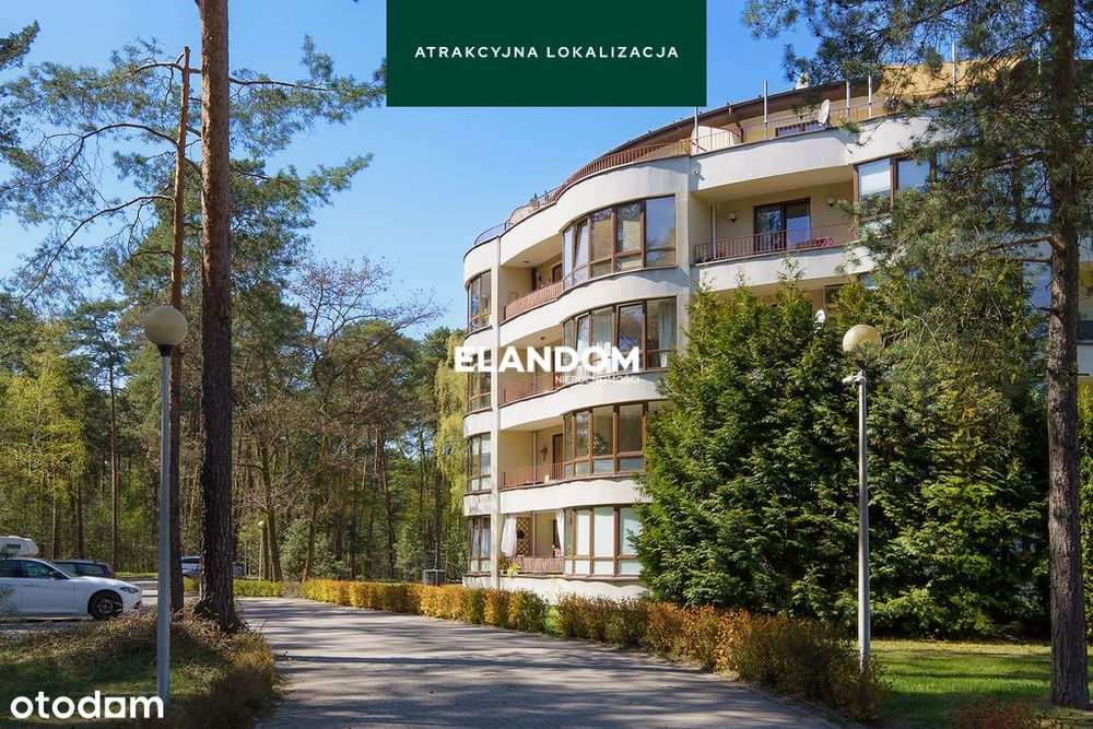 Przestronne 3-pokojowe mieszkanie przy lesie