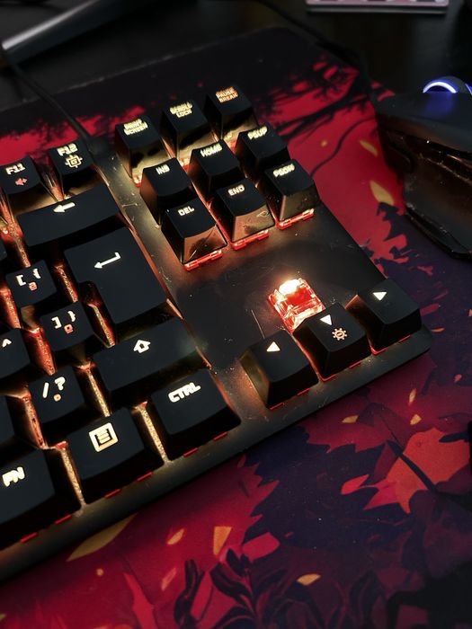 Teclado HyperX (Mecânico - Brasileiro - Preto)
