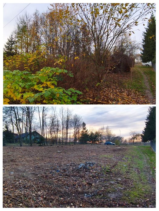 Karczowanie działek. Wycinka. Rębak.