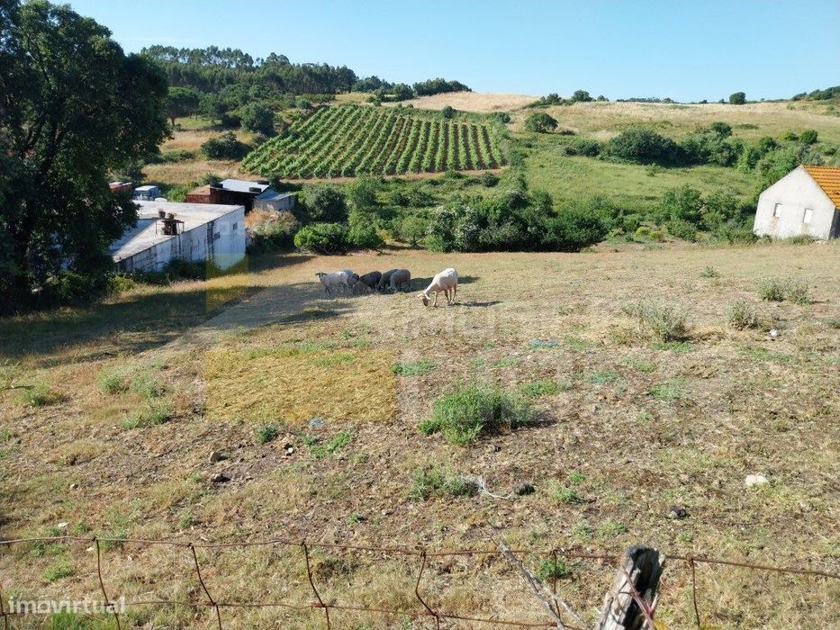 Terreno Rústico com 3937m2 na Igreja Nova, Mafra — Igreja Nova E Cheleiros, Lisboa