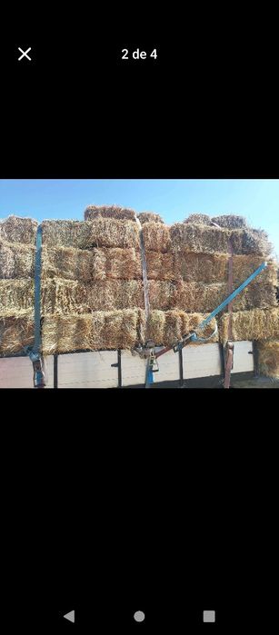 Vendo fardos de feno bom preço