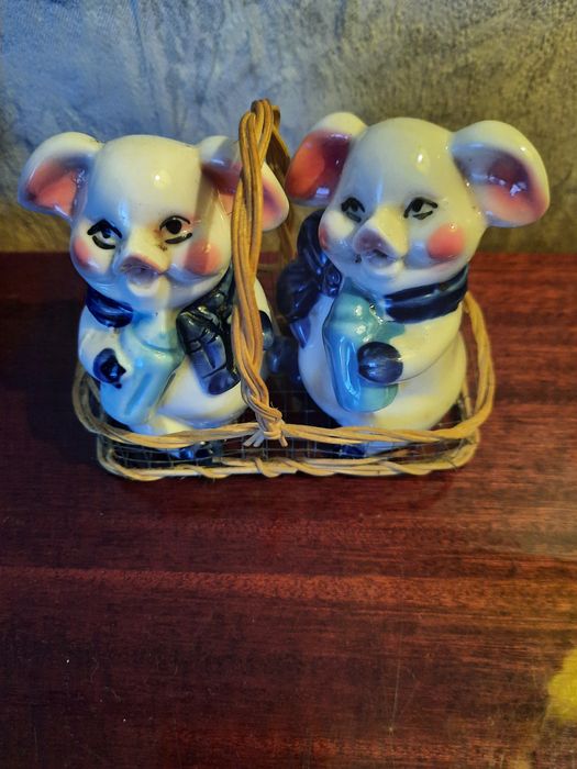 Спецовница, солянка.