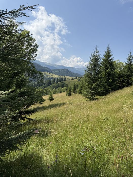 З видом на Чорногору.