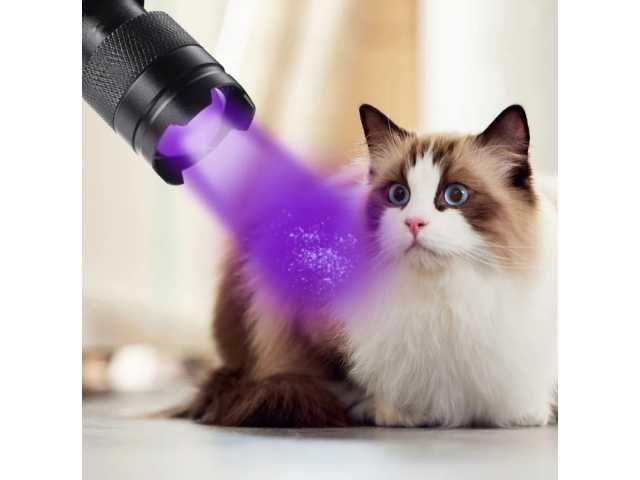 Latarka ultrafioletowa mini latarka UV 395 nm na baterie