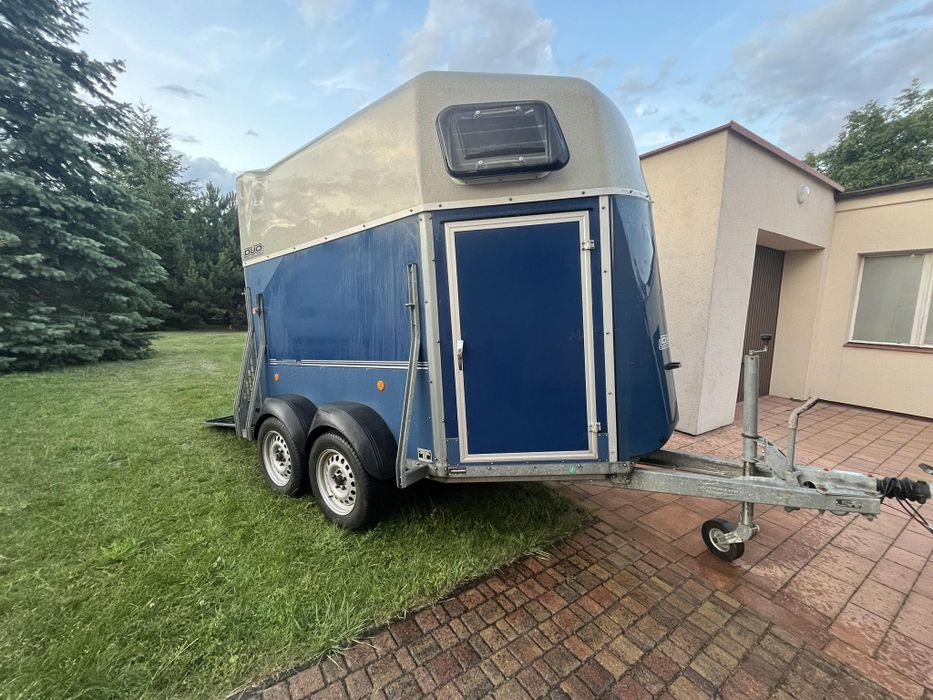 Wynajem aut  busów dostawczaki