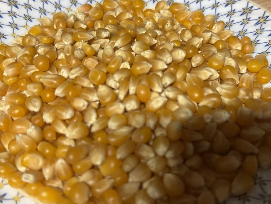 Зерна попкорну ДЕШЕВО | Для апаратів