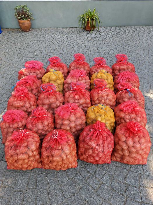 Batata mona lisa Nova ( saco 20 kg)
