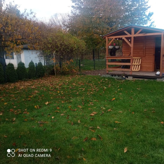 Działka ROD, babie doły