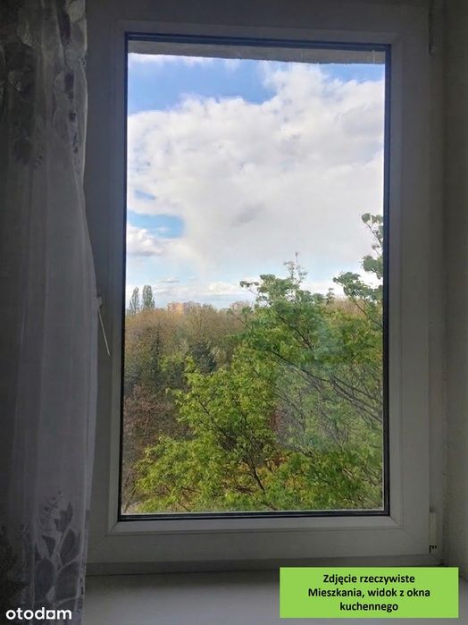 Bezpośrednio, 48m2, 3-pok, piękny widok na Park, METRO, Bródno,
