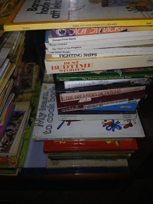 Conjunto + 100 livros crianca em português Ingles tudo 50 €