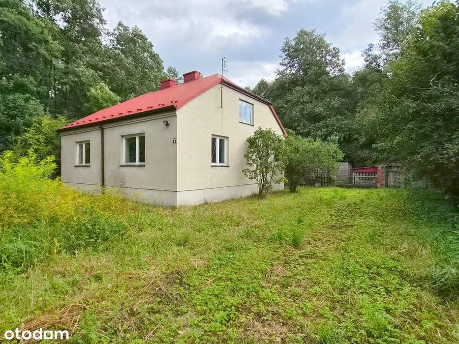Zdjęcie 8