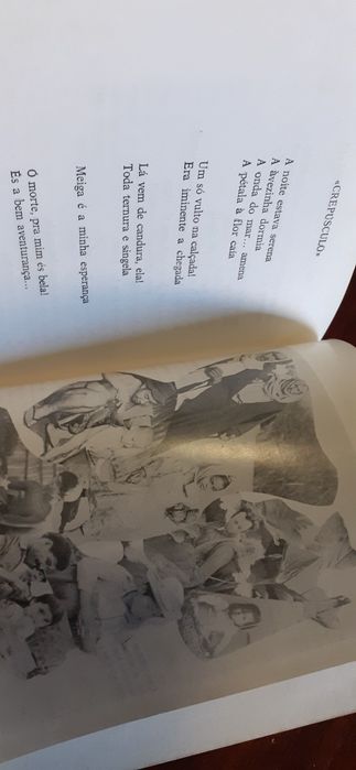 Poesia de um louco.  Laureano Santos