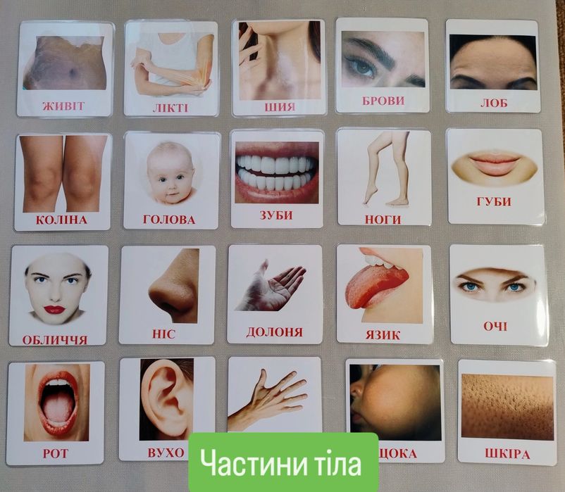 Картки Домана, карточки домана, ламіновані розвиваючі картки від 40 гр