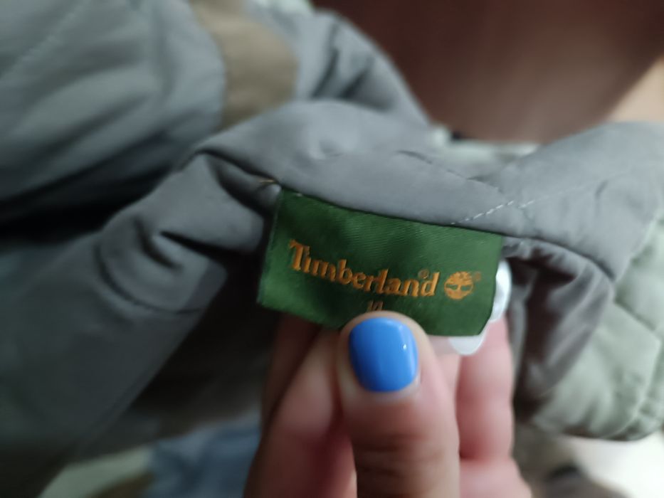 Casaco de inverno Timberland