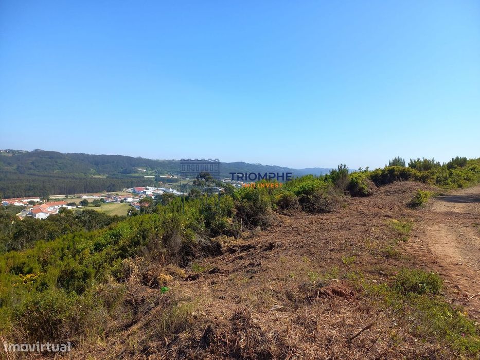 Terreno 11.000m2 - Com Viabilidade de Construção - Nazaré — Famalicão, Leiria