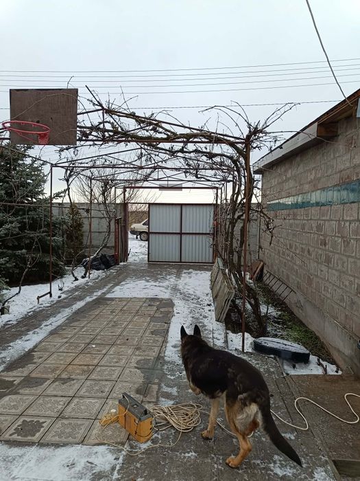 ПРОДАЄТЬСЯ БУДИНОК 100М2,  Криворізький район