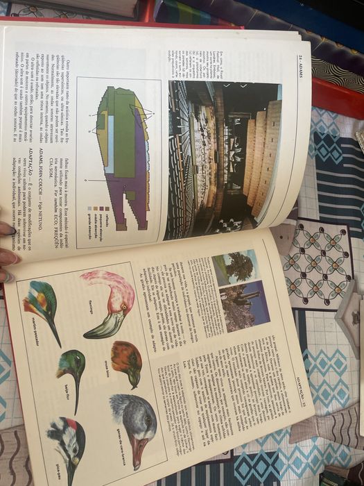 Ciência Abril - enciclopédias