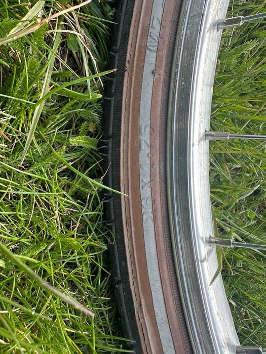 Rower damski FASHIONLINE