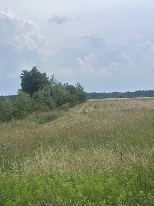 Продаж ділянки 163,5 га с.Бартатів
