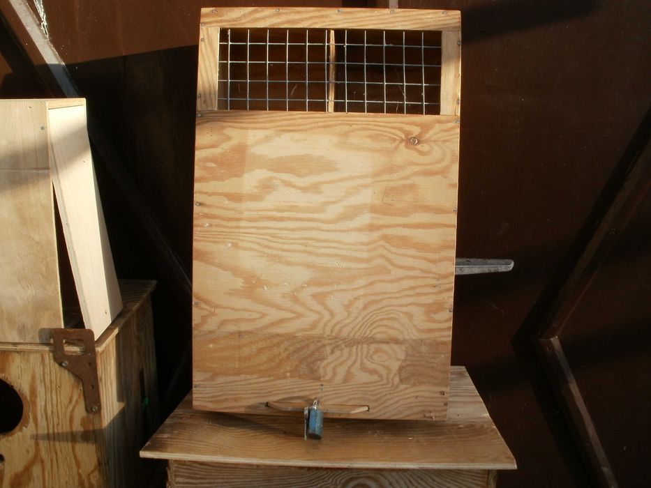 Budki lęgowe dla papug