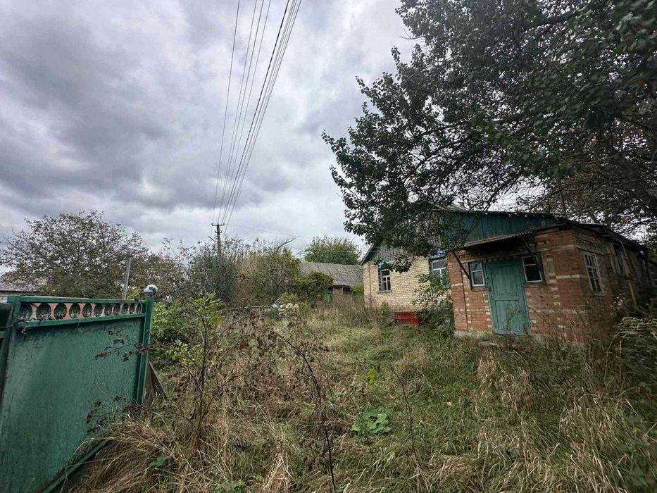 Продаж будинку село Липовий Скиток земля 53 сотки