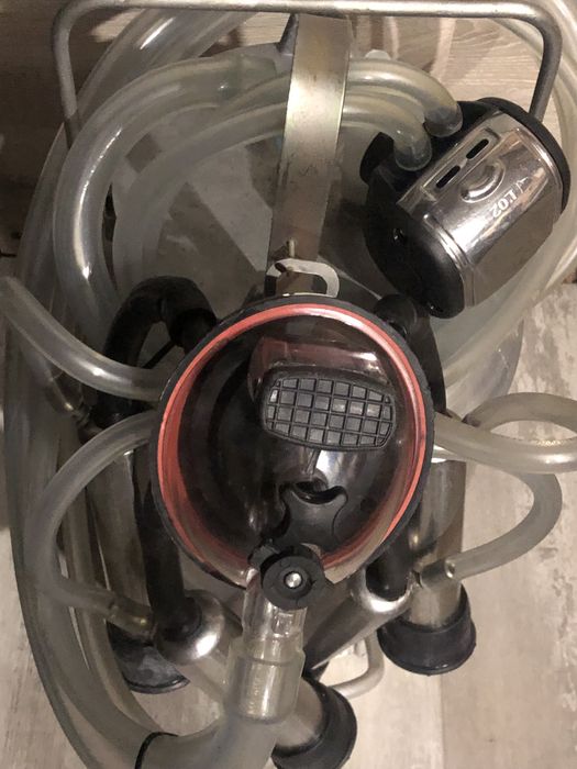 Ведро ( доильного аппарата)