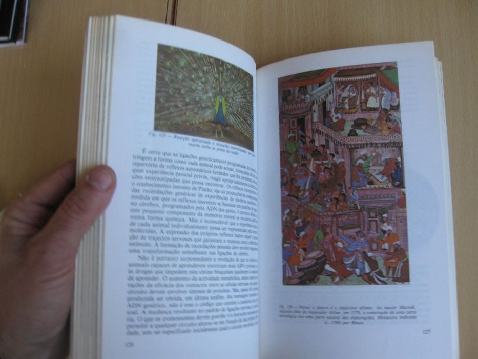 Os Mecanismos da Mente de Colin Blakemore