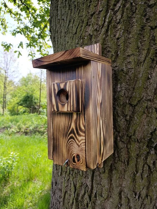 Zestaw 4 budek lęgowych typ A dla ptaków wróbli sikorek