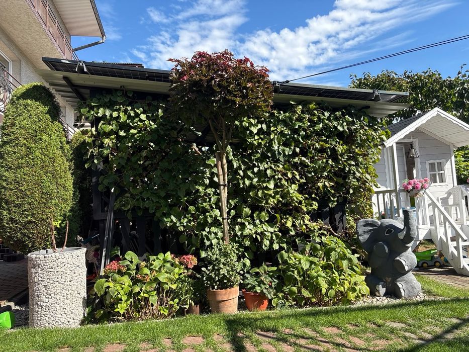 Mechanizm shutters ruchome deseczki