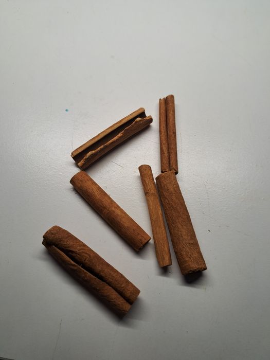 Cynamon dla ryb i krewetek 45g