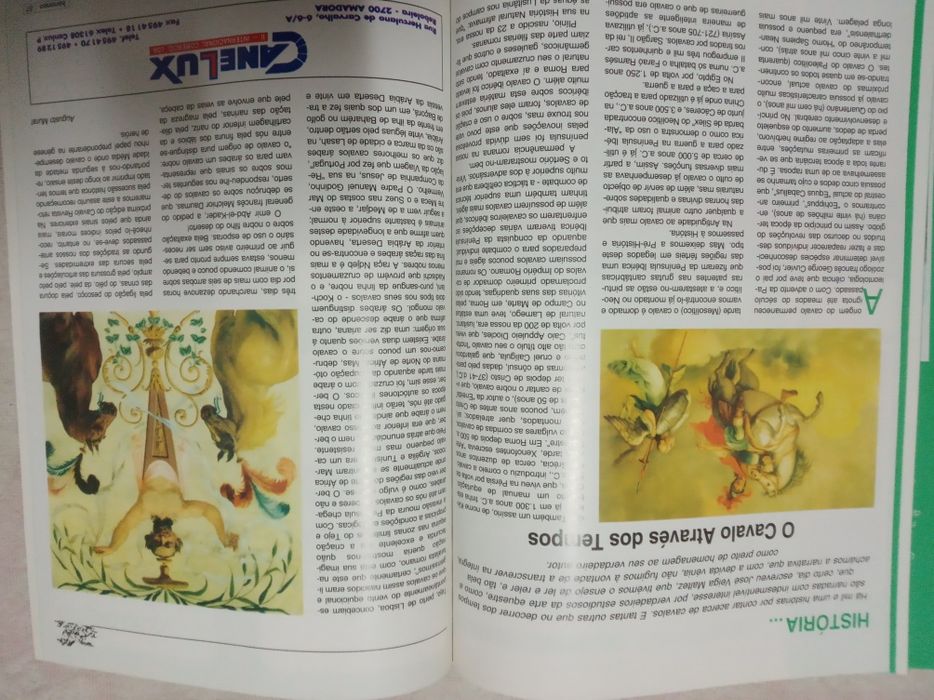 Revista:  CAVALO Magazine  ( 1995 )