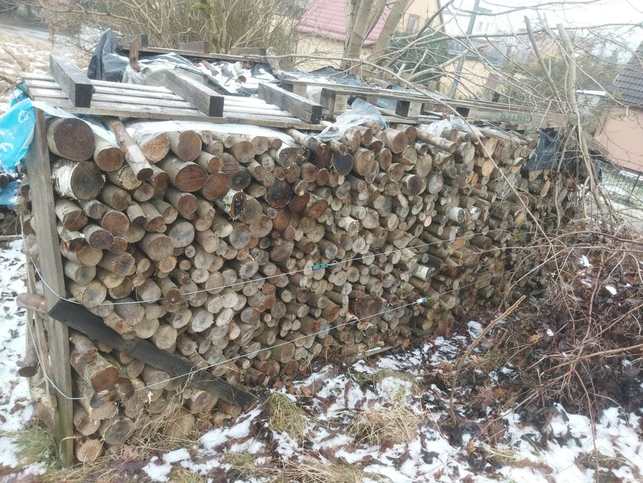 Drewno opałowe bukowe, układane 12,5m3.