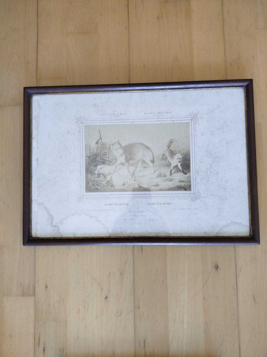 Quadros Antigos com Gravuras, molduras envidraçadas