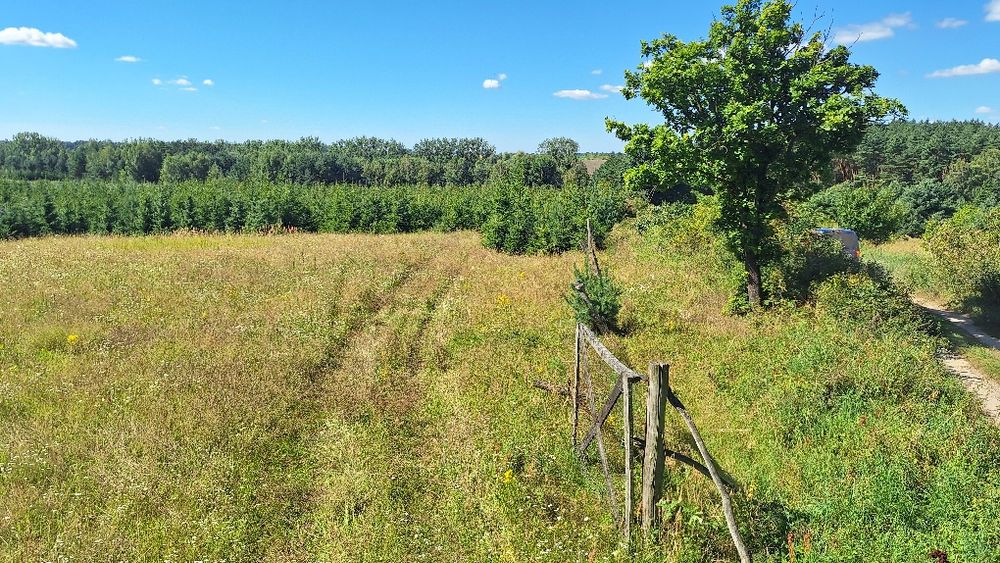 działki budowlane Steklinko