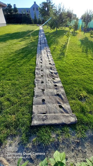 Agromata pod truskawki