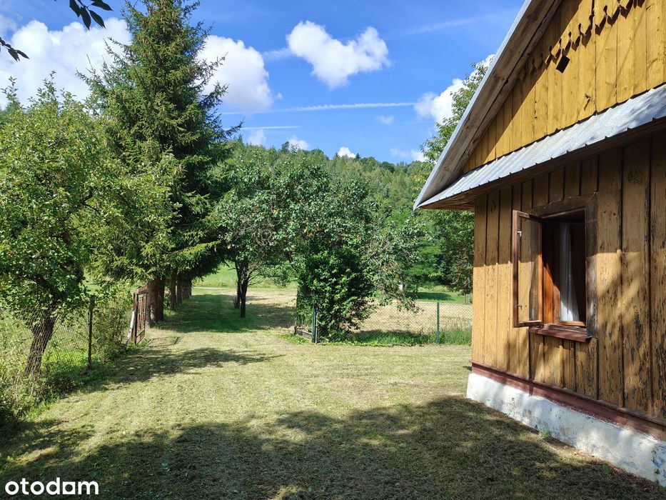 Siedlisko 38 arów z drewnianym domem - Bachów (Podkarpacie)