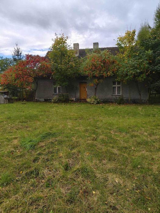 Sprzedam gospodarstwo rolne 23,6 ha z lasem i zabudowaniami – Ryszewko