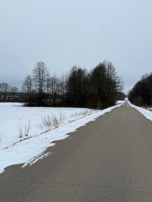 Sprzedam działkę o pow. 0.99ha w Brzozowie Kolonii