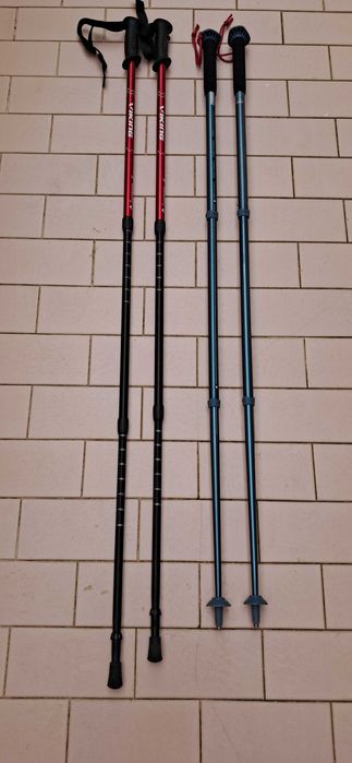 Walking Sticks445795349142579203