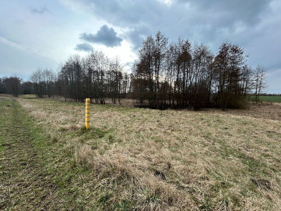 Działki budowlane Mickiewicza Pyrzyce