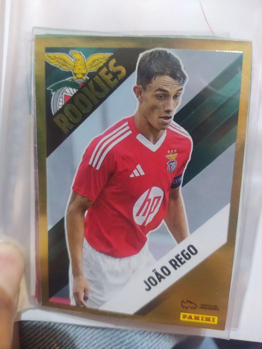 Benfica João Rêgo Rookie cromo panini recuperado