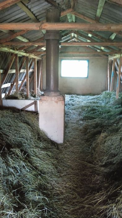 Продам будинок село Мовчанівка Бердичівський район