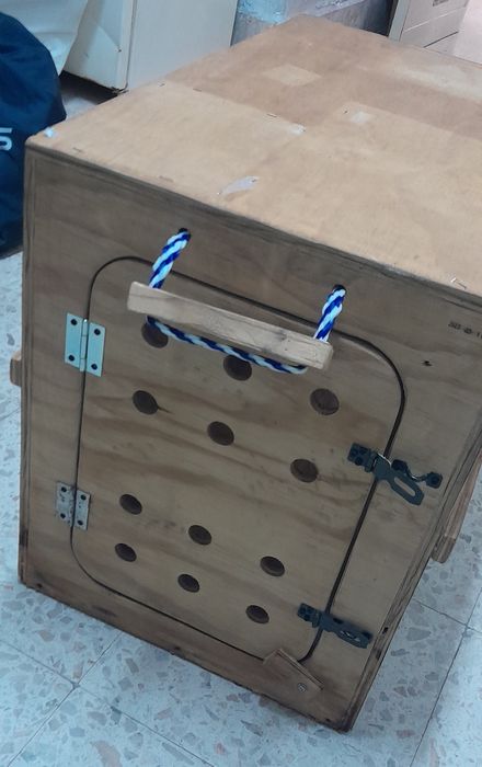 Transportadora de animais