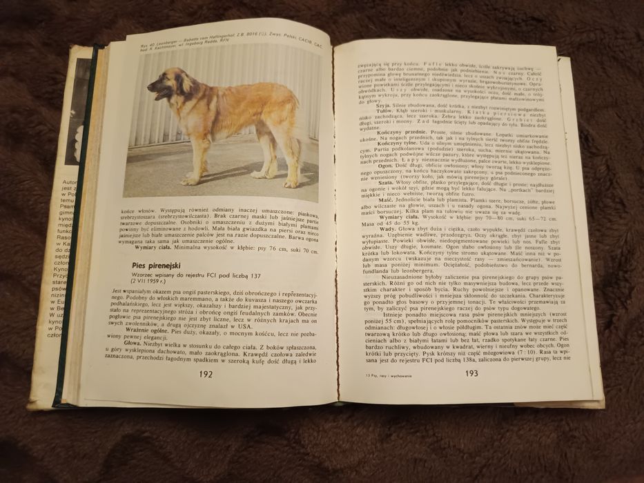 Psy, rasy i wychowanie -Lubomir Smyczyński, książka,poradnik, rok 1989
