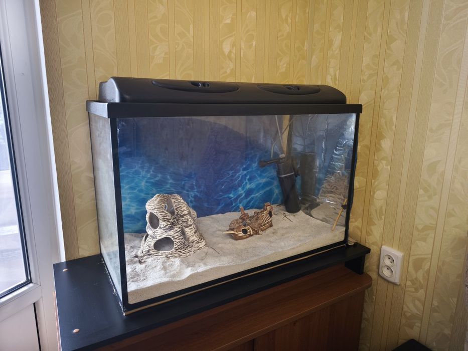 Декор для аквариума, фильтры, обогреватель, шланг