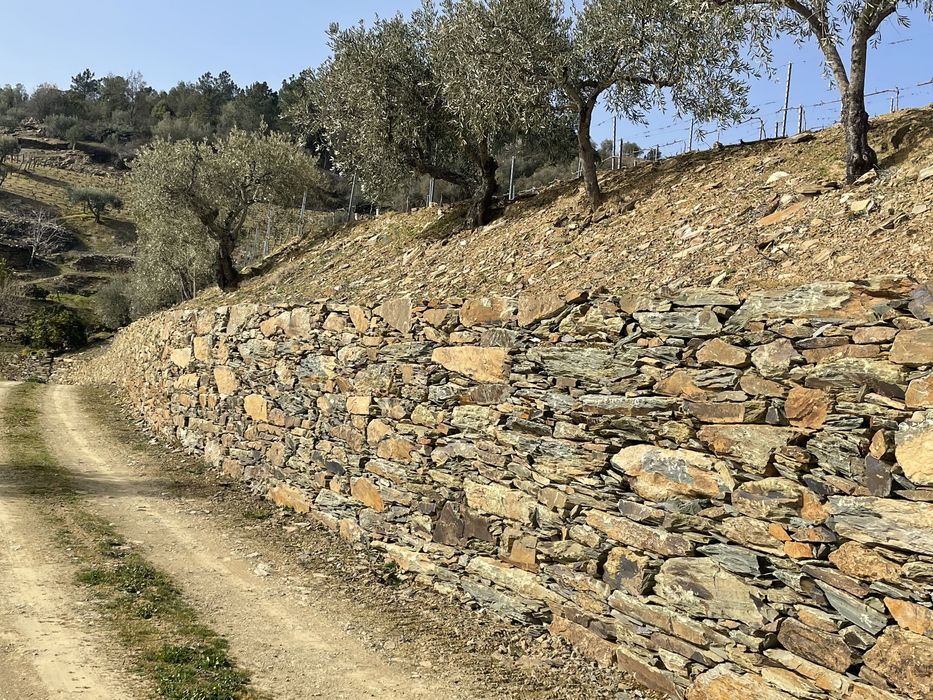 Quinta no coração do douro