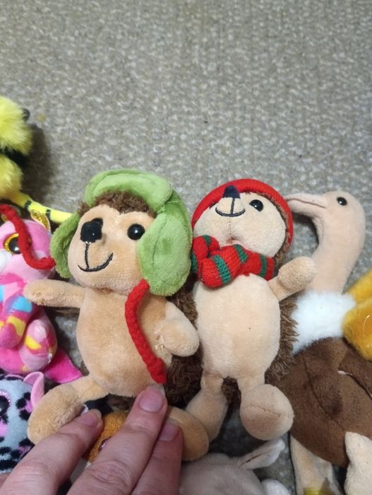 М'які іграшки TY Beanie Boo's, їжачки атб, Doki Doki Sbabam