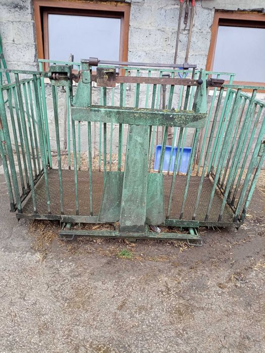 Waga do Żywca do 1500 kg