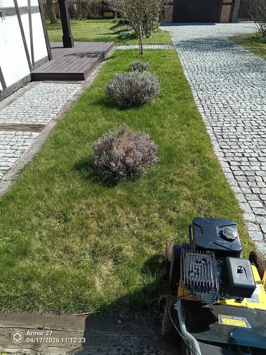 Wertykulacja, Koszenie, Budowa tarasów i altan, domków letniskowych
